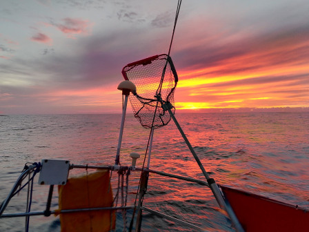 IMG_20200825_200538.jpg, sept. 2020