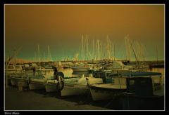 le port