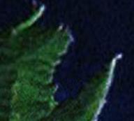5.JPG