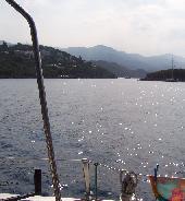 B8.JPG