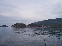 a5.JPG