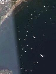 procida2.JPG