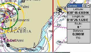 rocella.JPG