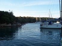 sivota8.JPG