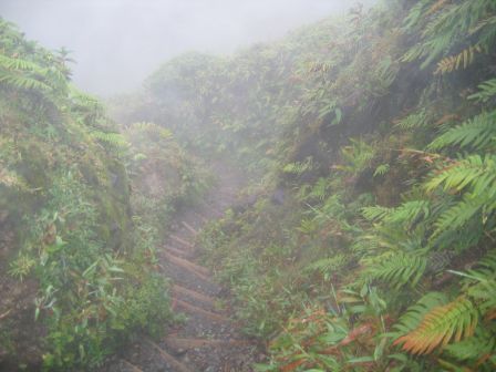 ça descend