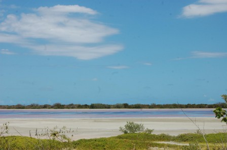 Puerto Rico - Cabo Rojo - les salines 1