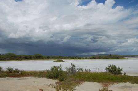 Puerto Rico - Cabo Rojo - les salines