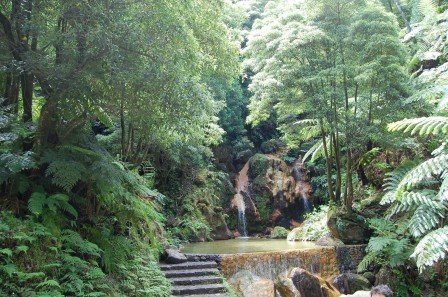 Sao Miguel - Les Açores - Caldeira Velha 2