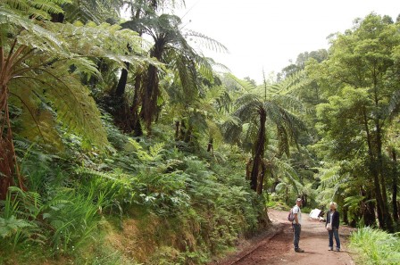 Sao Miguel - Les Açores - Caldeira Velha