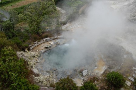 Sao Miguel - Les Açores - Furnas - Sources chaudes 2