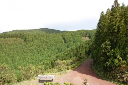 Sao Miguel - Les Açores - Serra da Tronqueira 3