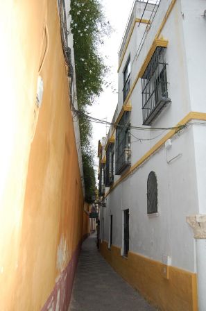 ruelles 3