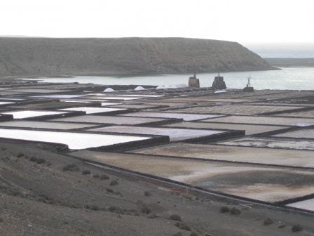 Les salins