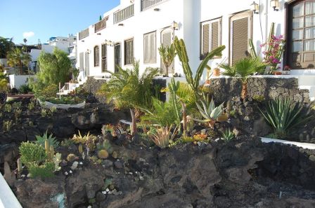 Les jardins de cactus 1